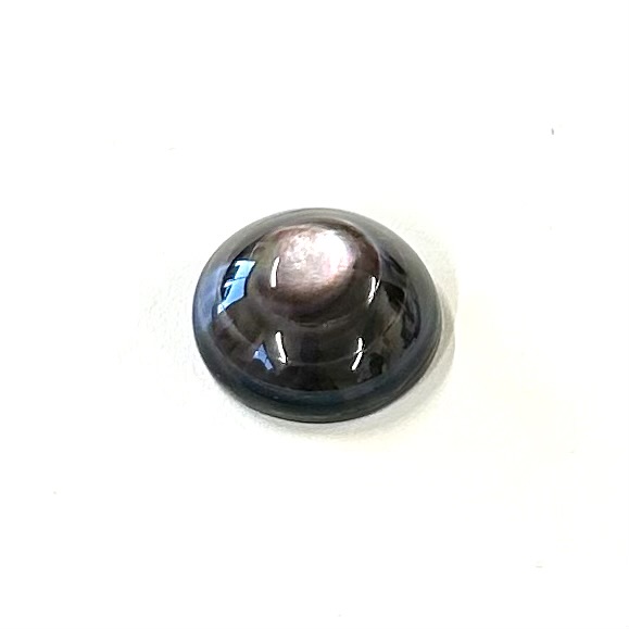 黒蝶貝（張り合わせ）