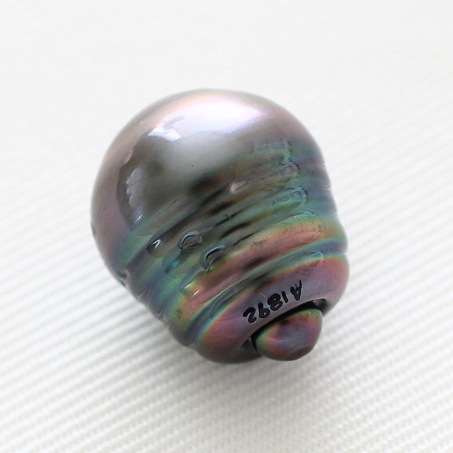 タヒチパール　１１×１３．５ｍｍ　 穴なし