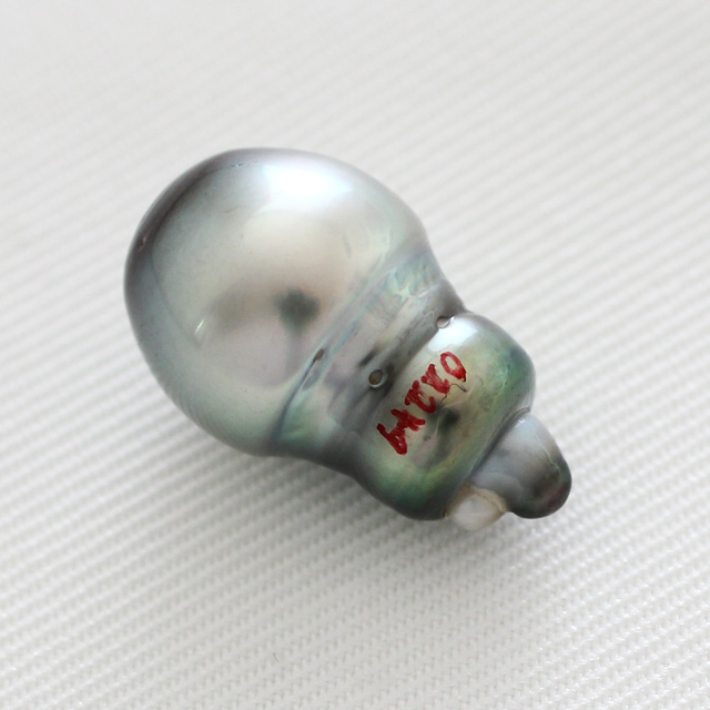 タヒチパール　１０×１６．７ｍｍ 穴なし