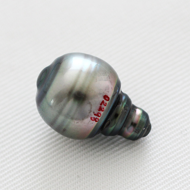 タヒチパール　１０．９×１５．９ｍｍ 穴なし