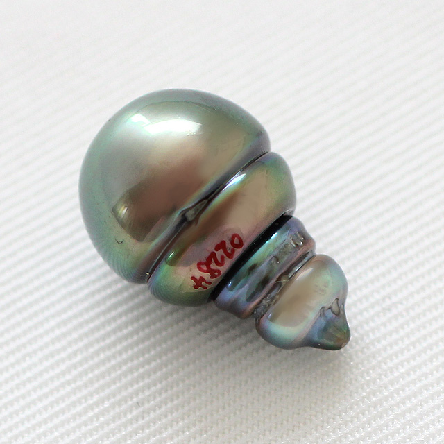 タヒチパール　１０．４×１６．１ｍｍ 穴なし