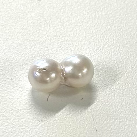 アコヤツインパール（片穴）