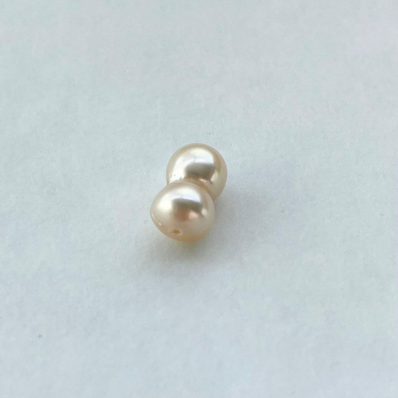 アコヤツインパール（片穴）