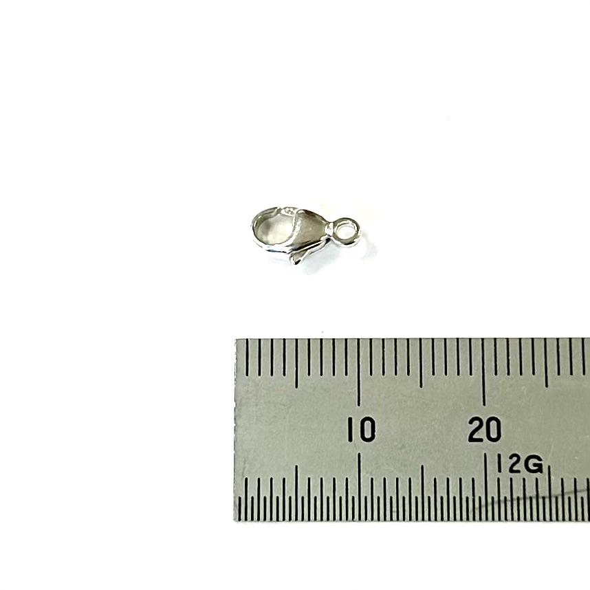 SV シスターフック　