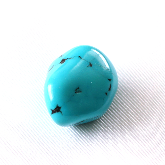 ネットトルコ　変型　