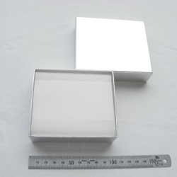 フリーギフトボックス　M サイズ （ゴールド/シルバー）