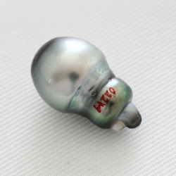 タヒチパール　１０×１６．７ｍｍ 穴なし
