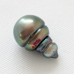 タヒチパール　１０．４×１６．１ｍｍ 穴なし