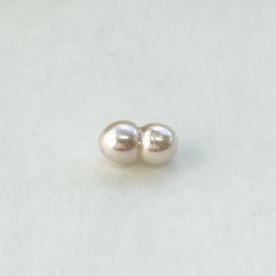 アコヤツインパール（貫通・横穴）