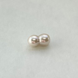 アコヤツインパール（貫通・横穴）