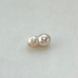 アコヤツインパール（貫通・横穴）