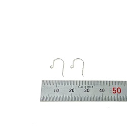 Ｋ１０WG　ワイヤーピアスブラ　線型０．５mm