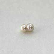 アコヤツインパール（貫通・横穴）