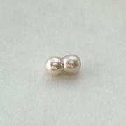 アコヤツインパール（貫通・横穴）