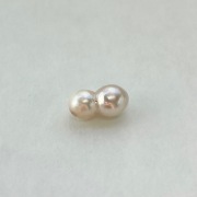 アコヤツインパール（貫通・横穴）