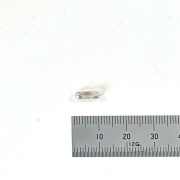 ＳＶ ＢＣコネクター（２．０から３．０mm）