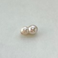 アコヤツインパール（貫通・横穴）