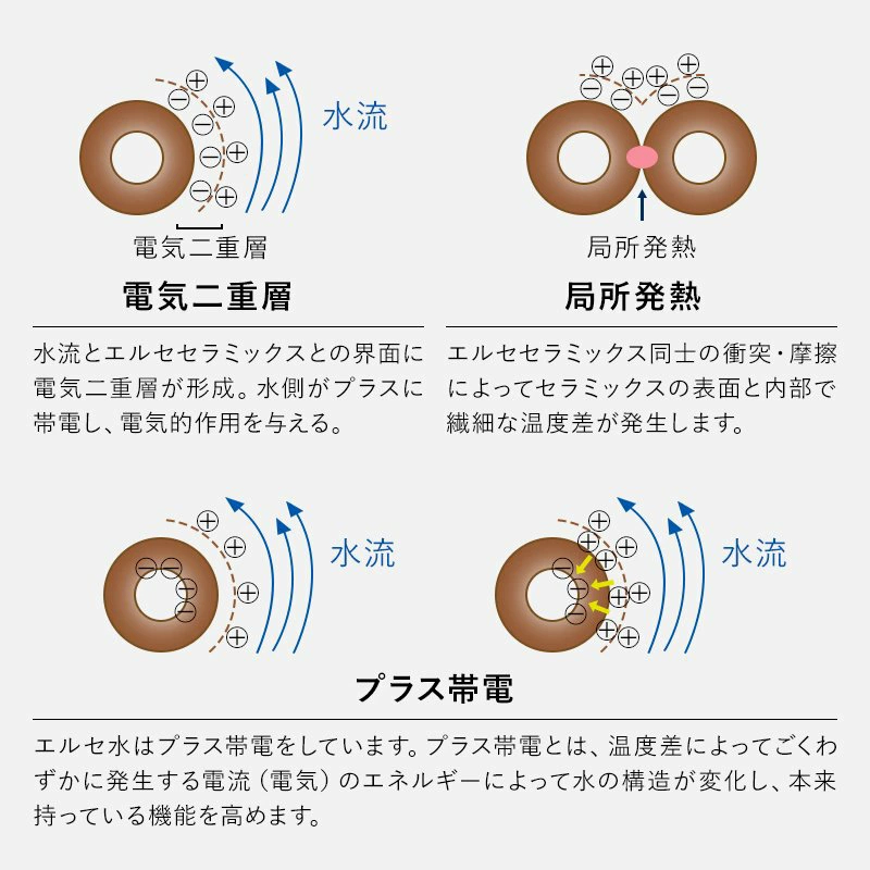 【即納】エルセの実 洗浄力 美容 日本産 国産 エルセ 浸透力水筒に入れるだけ　抗酸化水に【送料無料】