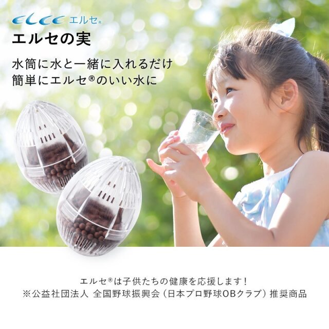 日本治水　家庭用 浄水器 エルセ SHW-II型 浄水 抗酸化水 家庭用浄水器 エルセSHW-II型 浄水 抗酸化水 : スペース・K