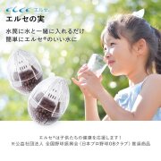【即納】エルセの実 洗浄力 美容 日本産 国産 エルセ 浸透力水筒に入れるだけ　抗酸化水に【送料無料】