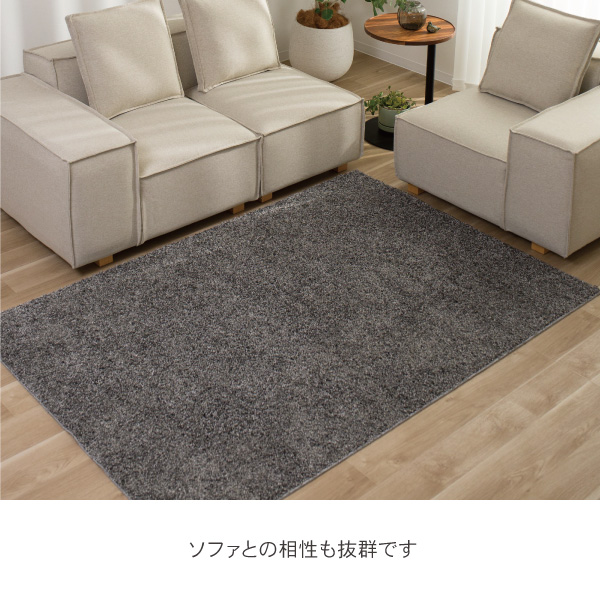 カカオソファとの相性も抜群の日本製ラグ、アスター
