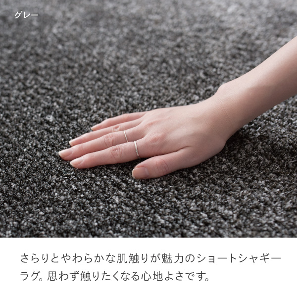 ベゴニア