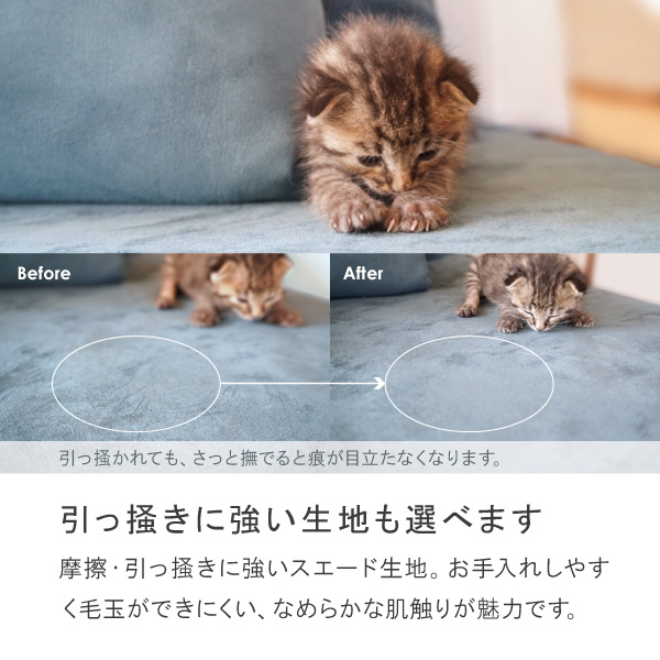 バニラ