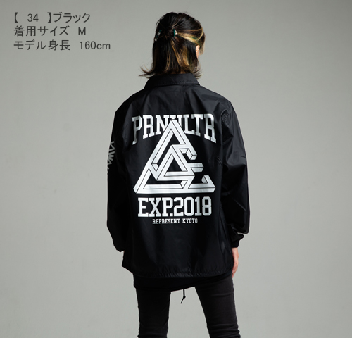 ポルノ超特急2018