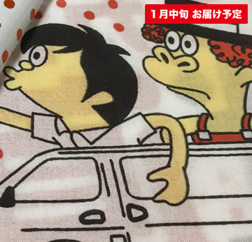 フラカンの日本武道館