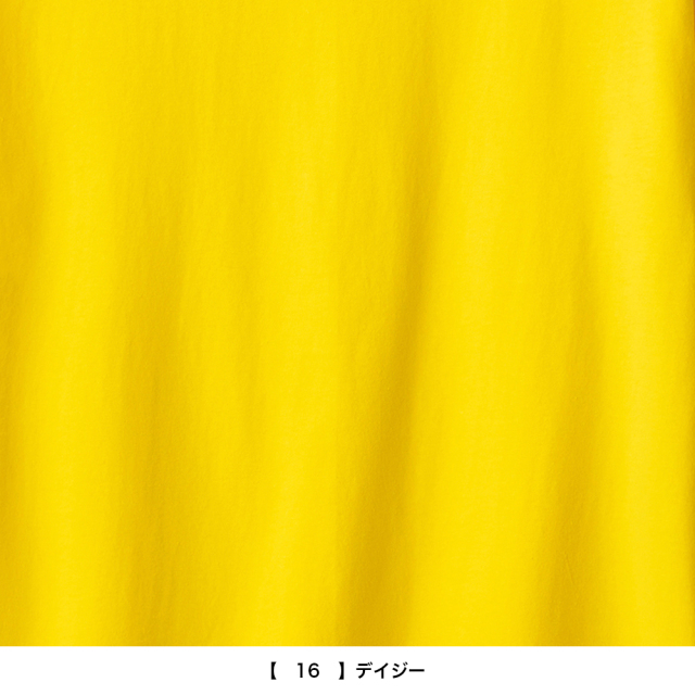 京都大作戦2026