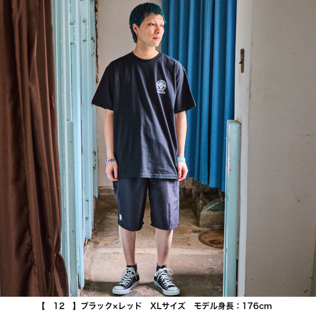 京都大作戦2026
