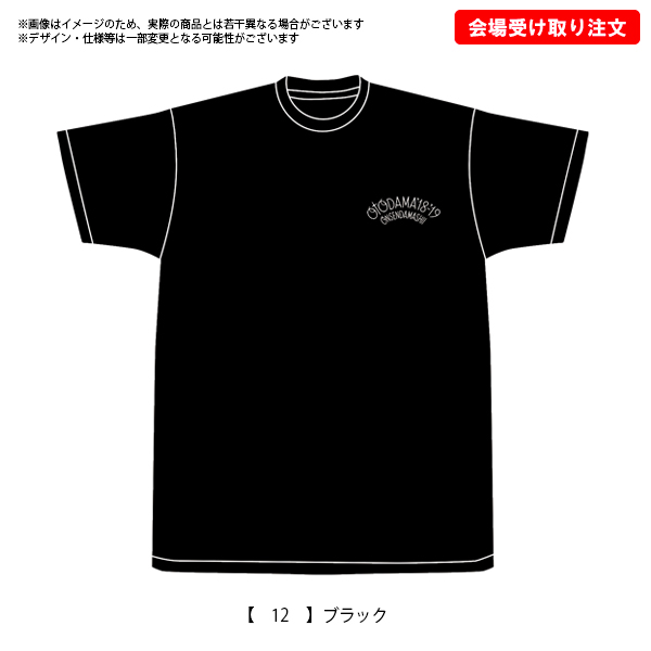 OTODAMA'18-'19～音泉魂～ 事後通販 】 キミ達やっぱりオトダマだT