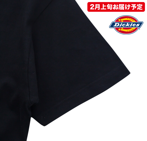 DICKIES