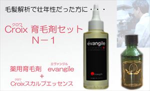 毛髪診断で脱毛原因が壮年性脱毛傾向だった方に！育毛促進　発毛促進ハゲ・抜毛・薄毛・フケ・かゆみ・頭皮臭の悩みに！育毛対策　薬用育毛剤　エヴァンジル（医薬部外品）とＣｒｏｉｘスカルプエッセンスＮ－１お得なセット　：　Ｃｒｏｉｘ育毛剤セットＮ－１（１ヶ月分）