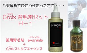 毛髪解析でハゲ原因がひこう性（粃糠性）脱毛傾向だった方に！禿・抜け毛・薄毛・フケ・頭皮臭・かゆみの悩みに！育毛効果促進　新・発毛対策　薬用育毛剤　エヴァンジルとＣｒｏｉｘスカルプエッセンスＨ－１　お得なセット　：　Ｃｒｏｉｘ育毛剤セットＨ－１（１ヶ月分）