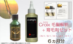毛髪診断で　壮年性脱毛　脂漏性脱毛　ひこう性　円形脱毛　神経性脱毛　アレルギー性脱毛の脱毛タイプを調べ、脱毛原因に最適な育毛剤をお届けします！　：　Ｃｒｏｉｘ毛髪解析＋育毛剤セット（６か月分セット）