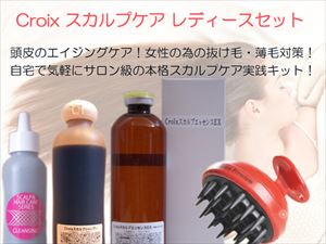 【送料無料】女性用ヘアケアセット第二弾！サロン製品の　ヘマチン配合アミノ酸系シャンプーとベントナイト配合頭皮クレンジング剤、ＥＧＦ　プラセンタ配合のヘアエッセンス、頭皮洗浄ブラシのお買い得セット！　：　Ｃｒｏｉｘ　スカルプケア　レディースセット