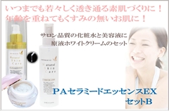 ナノ化馬プラセンタ　ＥＧＦ　ＦＧＦ　配合　ＰＡセラミド美容液とフラーレン配合　ゲルマニウム化粧水、透き通る透明　白肌に導く　ホワイトクリーム　サロン品質コスメセット　　シミ　しわ　ほうれい線　対策に：ＰＡセラミードエッセンスＥＸ　セットＢ