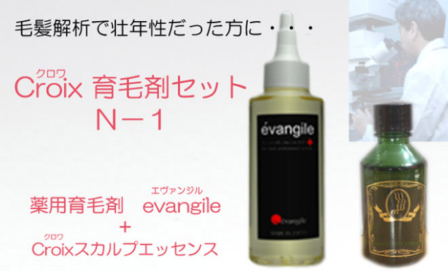育毛対策 薬用育毛剤 エヴァンジル（医薬部外品）とCroixスカルプエッセンスN-1 お得なセット ： Croix育毛剤セットＮ－１（１ヶ月分）