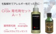 毛髪解析で禿原因がアレルギー性脱毛傾向だった方に！育毛対策　発毛効果促進　禿げ・抜け毛・薄毛・ふけ・かゆみ・頭皮の臭いの悩みに！医薬部外品育毛剤　エヴァンジルとＣｒｏｉｘスカルプエッセンスＡ－１　お得なセット　：　Ｃｒｏｉｘ育毛剤セットＡ－１（１ヶ月分）