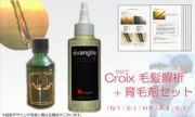 毛髪診断で　壮年性脱毛　脂漏性脱毛　ひこう性　円形脱毛　神経性脱毛　アレルギー性脱毛の脱毛タイプを調べ、脱毛原因に最適な育毛剤をお届けします！　：　Ｃｒｏｉｘ毛髪解析＋育毛剤セット（１か月分セット）