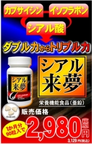 【送料無料】【お徳用３個セット】カプサイシン＋イソフラボン・シアル酸・亜鉛酵母・Ｌ－リジン・カイアポイモ・Ｌ－プロリン・松葉エキス・Ｌ－アラニン・ビタミンＥ・Ｌ－アルギニン・パントテン酸Ｃａ・Ｌ－オルニチン配合サプリメント：シアル来夢