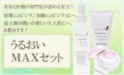 【送料無料】【サロン店販品】乾燥・しわ・たるみ・毛穴・ほうれい線対策！フラーレン　ｅｇｆ　原液　アルジレリン　リピジュア　シワケア＆うるおい成分６０％配合！高級クリームのお得セット！：うるおいＭＡＸセットＢ