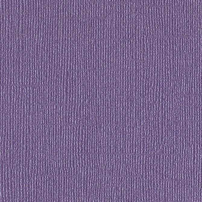 バジル カードストック