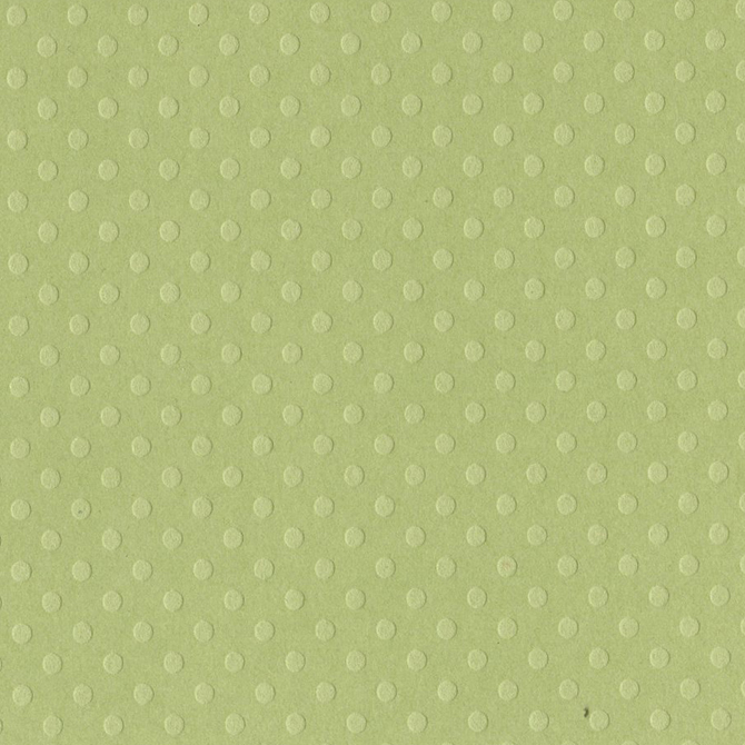 バジル カードストック