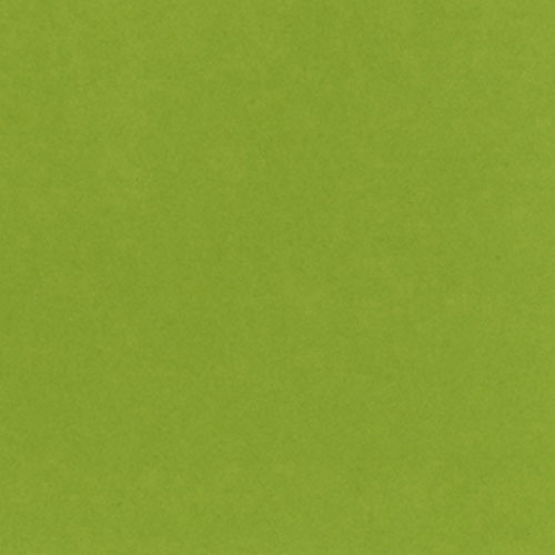 バジル CARD SHOPPE