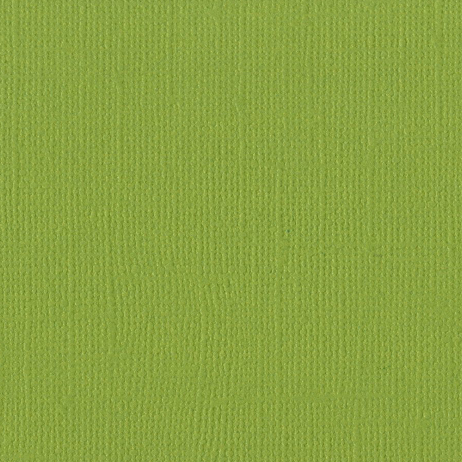 バジル カードストック