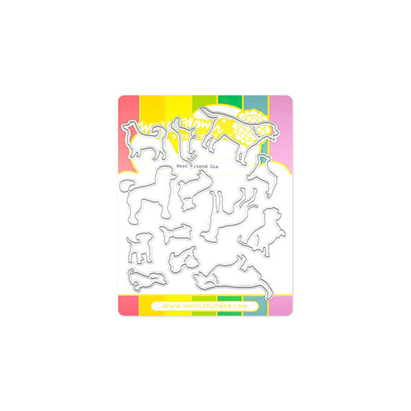 ワッフルフラワー Best Friend