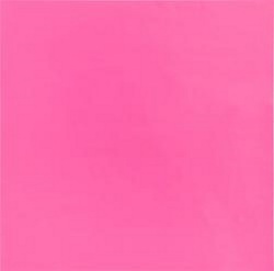 バジル　12インチペーパー