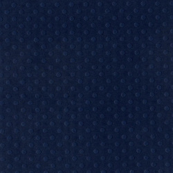 バジル カードストック